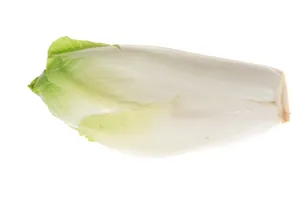 Endives White/Chicory