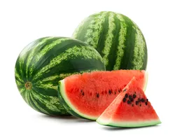 Melon Water Seeded