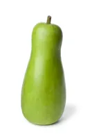 Bottle Gourd/Lauki/Dudhi Bhopla