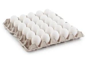 Fresh Eggs