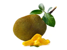 Jackfruit/Chakkai/Kathal