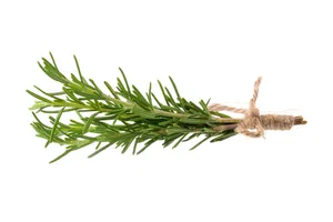 Rosemary Pkt