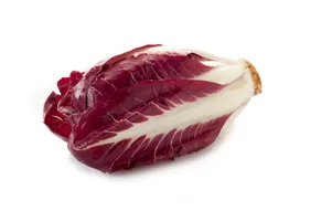 Endives Red/Chicory