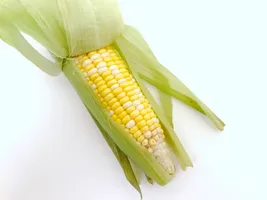 Sweet Corn/Corn on the Cob