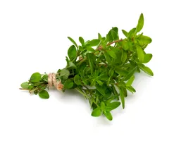 Thyme Pkt