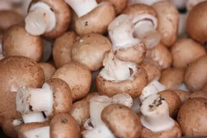 Mushroom Button Brown