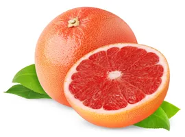 Grapefruit Pink