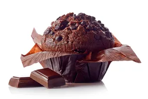 Chocolate Muffin