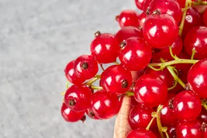 Red Currant Pkt