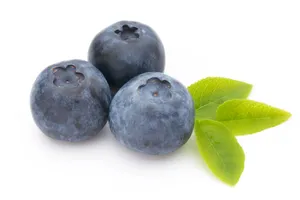 Blueberry Pkt
