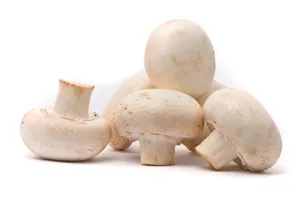 Button Mushroom Whole Air Washed
