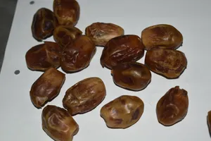 Dates Kimia