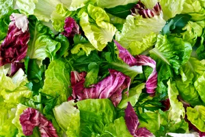 Italian Salad Leaves