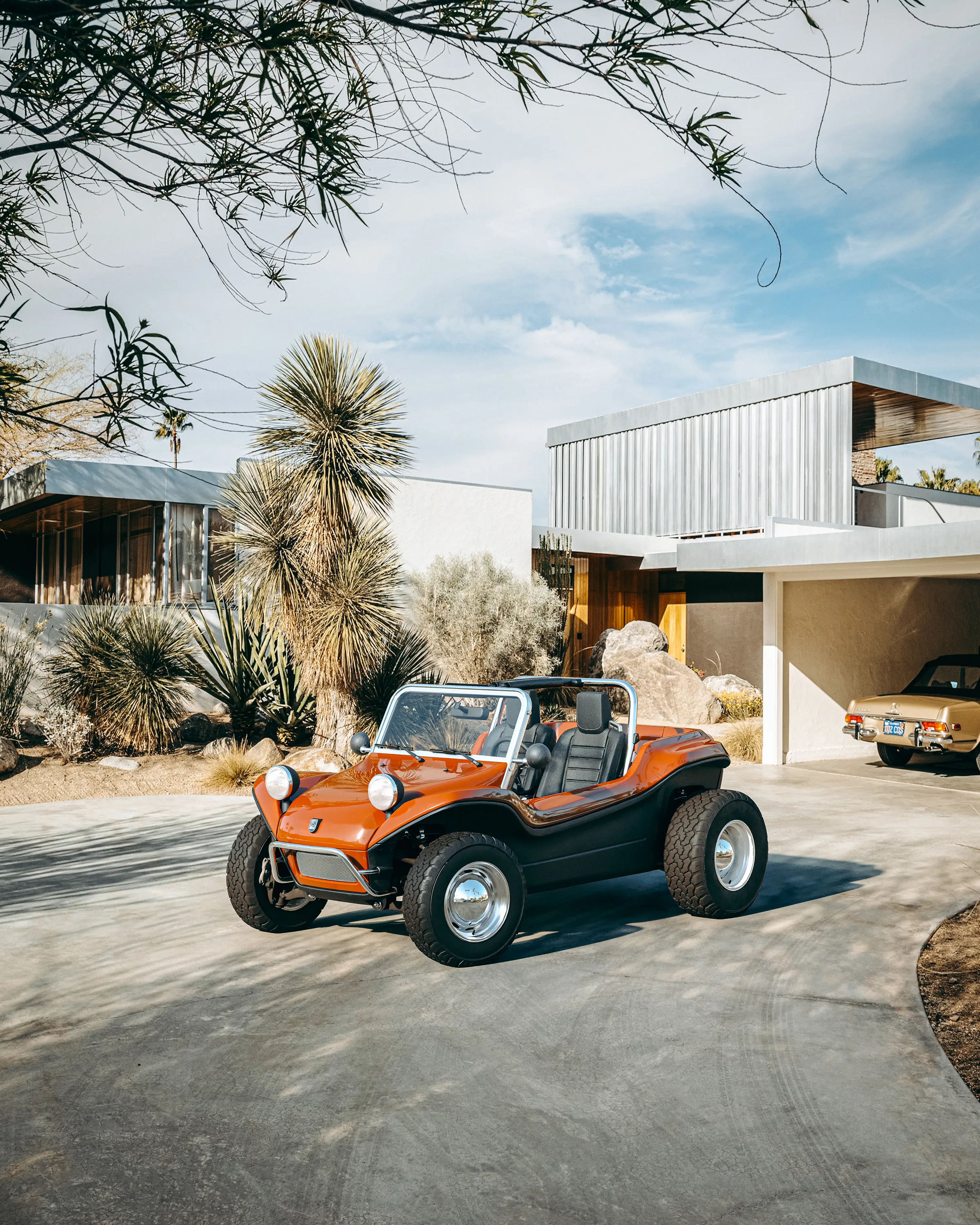 Meyers Manx – supporting image