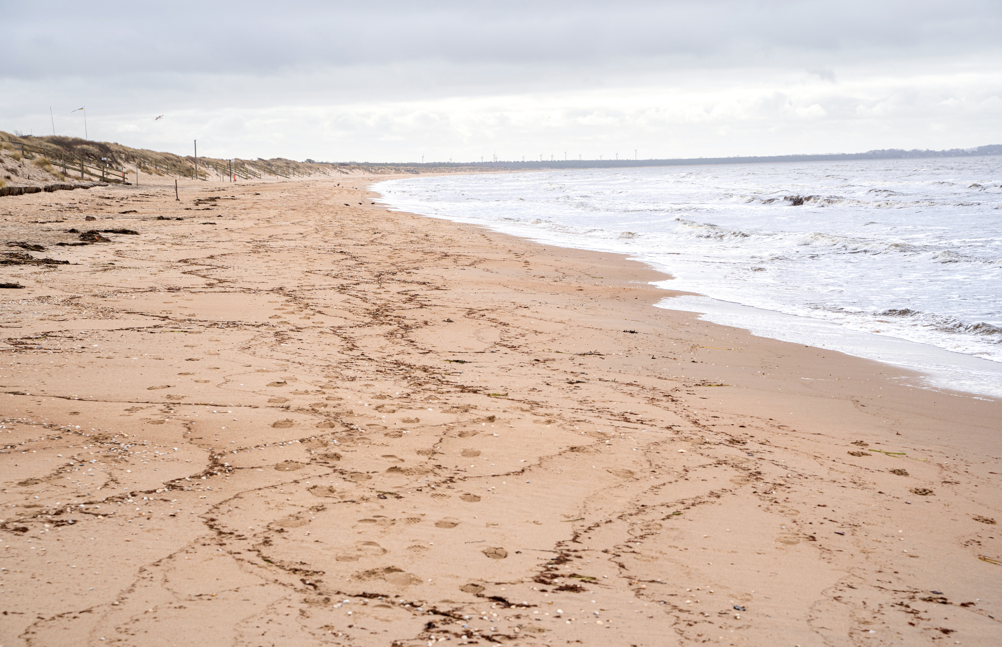 Hyra container i Ängelholm - Bild på hav i Ängelholm