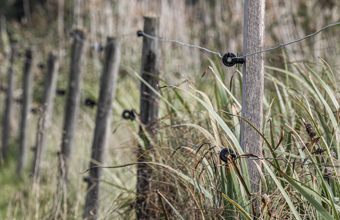 Hyra container Vallentuna - Bild på Angarn i Vallentuna kommun
