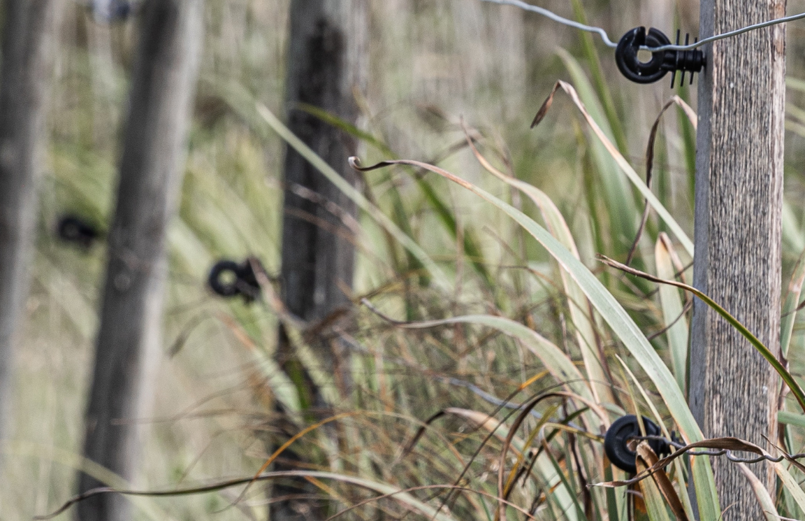 Hyra container Vallentuna - Bild på Angarn i Vallentuna kommun