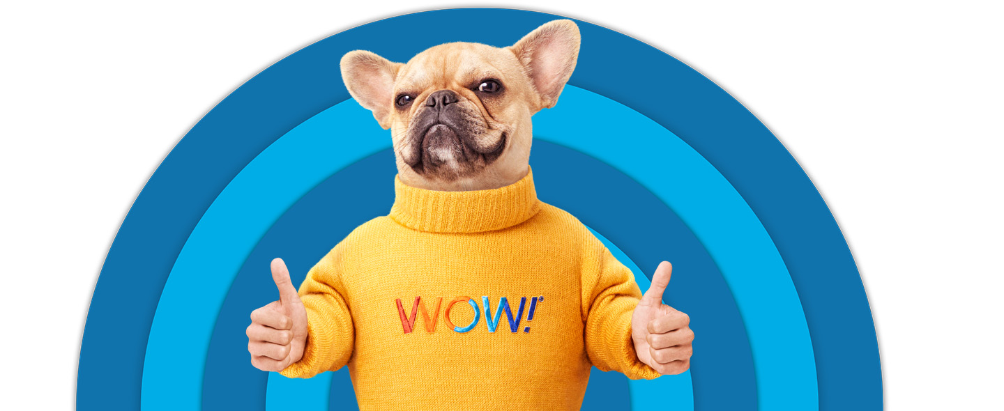 Dog head on human body giving double thumbs with blue target background