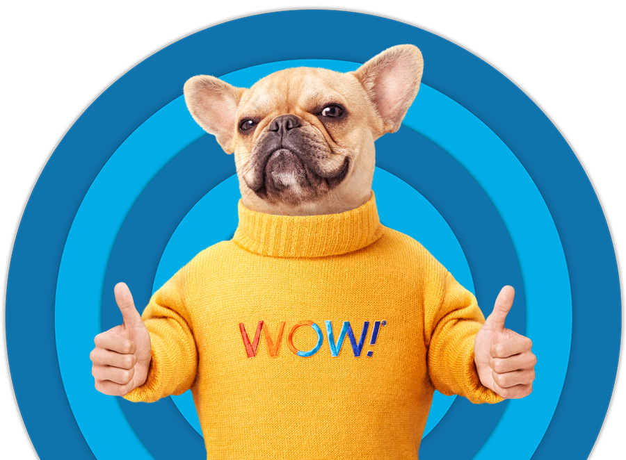 Dog head on human body giving double thumbs with blue target background