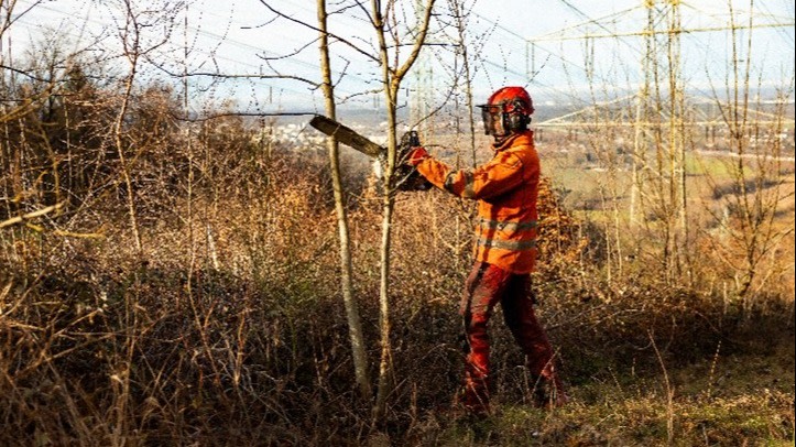 Präzision statt Kahlschlag: Beim ökologischen Trassenmanagement werden Gehölze gezielt und schonend entnommen – für sichere Leitungen und vielfältige Lebensräume.