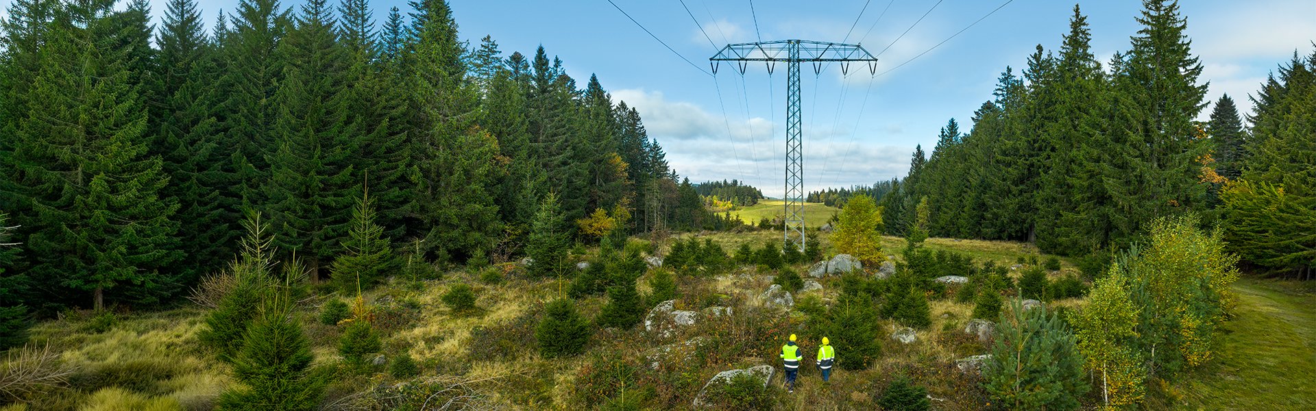 Weitläufige Landschaft mit Stromtrasse, eingebettet in grüne Vegetation, Symbol für das Zusammenspiel von Natur und Energieversorgung.