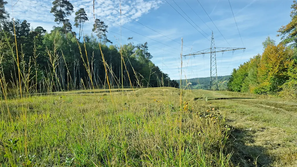 Entwicklung einer artenreichen Wiesenfläche im Trassenbereich, Beispiel für regionale Zusammenarbeit im Naturschutz.