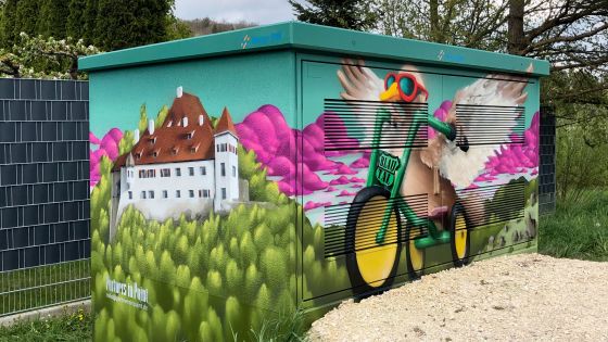 Graffiti-Künstler Milo hat die Trafostation in Arnegg attraktiv umgestaltet. (Fotos: Partners in Paint_Milo)