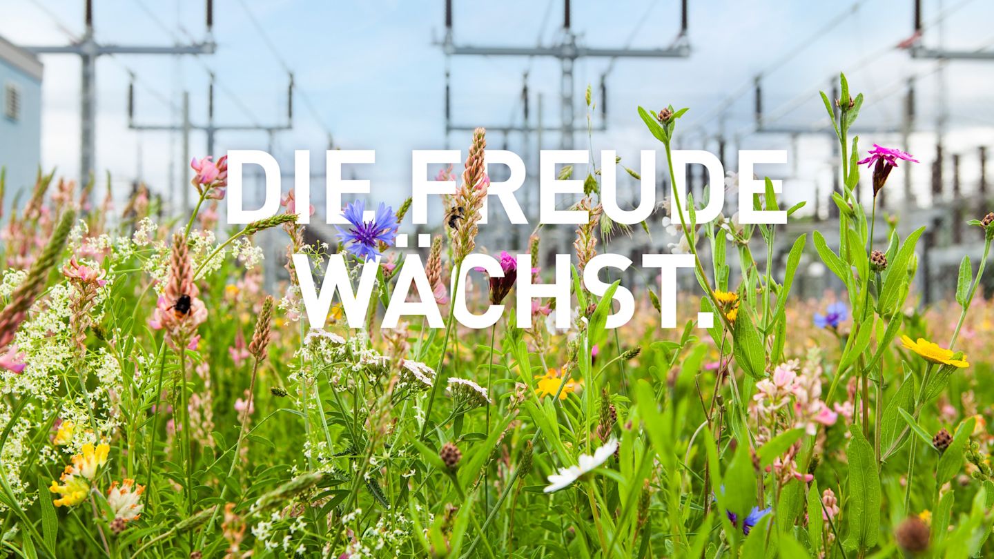 Blumenwiese mit weißem Text in der Mitte auf dem steht "DIE FREUDE WÄCHST".