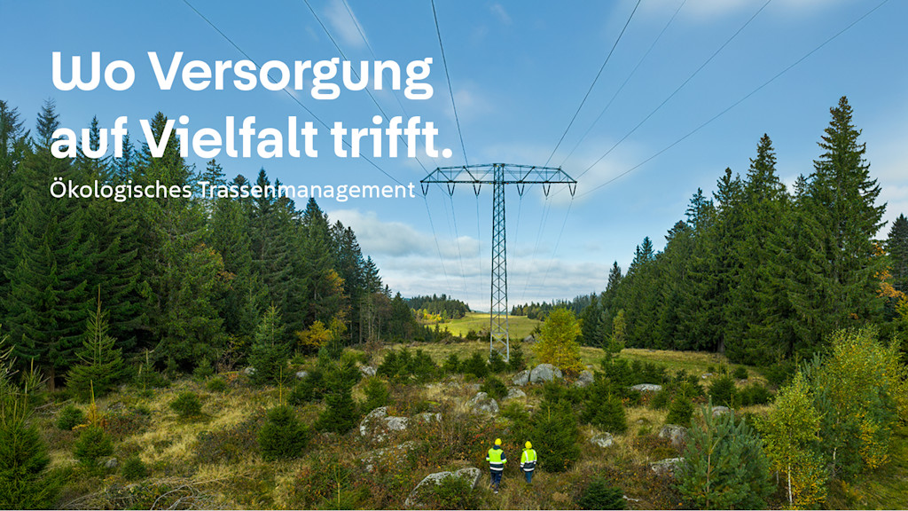 Strommast und Leitungen auf einem Feld.