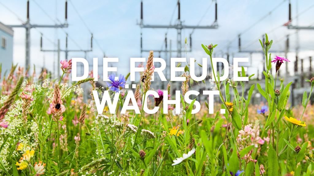 Bunte Blumenwiese in Nahaufnahme vor einem Umspannwerk mit Text "Die Freude wächst.