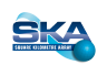 Logo: ska logo