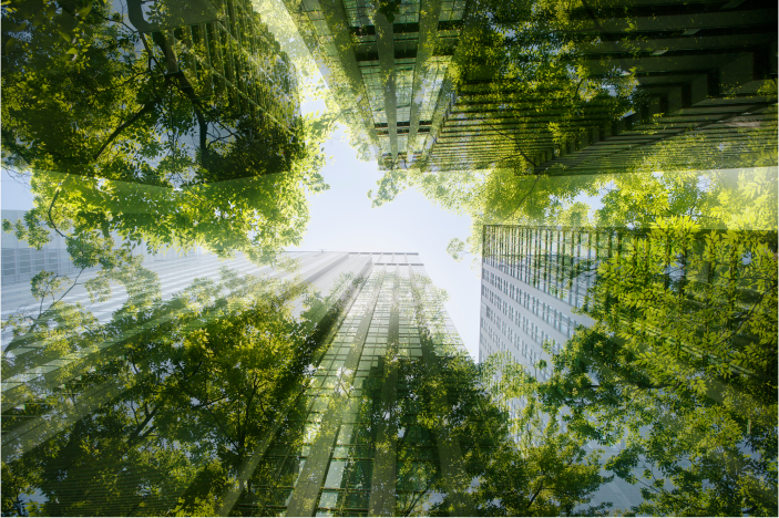 bottom view of trees and buildings