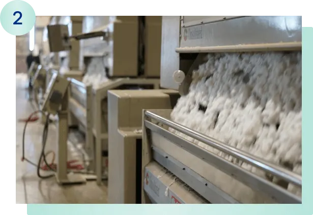 Cotton is Harvested