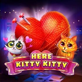 Here Kitty Kitty