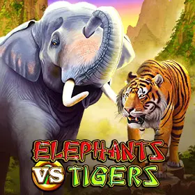 Elephants vs Tigers 