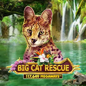 BigCatRescueMegaways 280x280