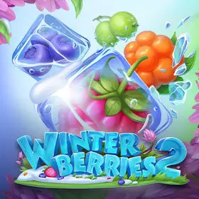 Winterberries 2