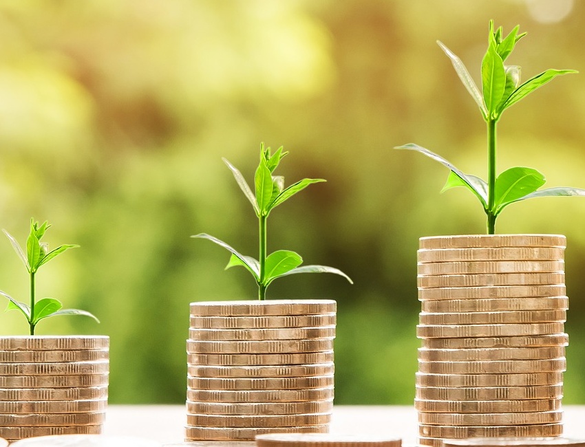 plant growing out of piles of coins