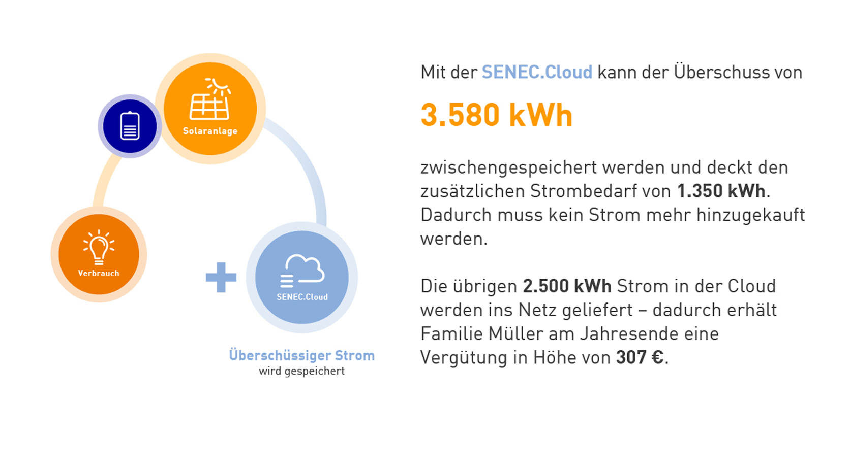 Dein virtueller Stromspeicher für bis zu 100% Autarkie – SENEC.Cloud ...