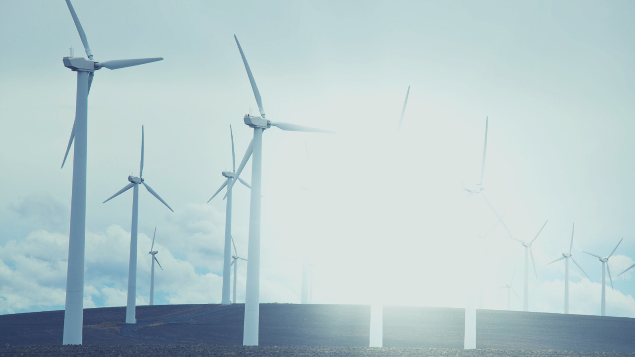 dormakaba signs UN-backed “Uniting Business and Governments to Recover Better” statement