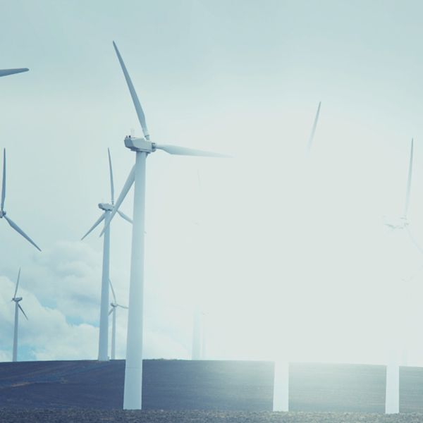 dormakaba signs UN-backed “Uniting Business and Governments to Recover Better” statement