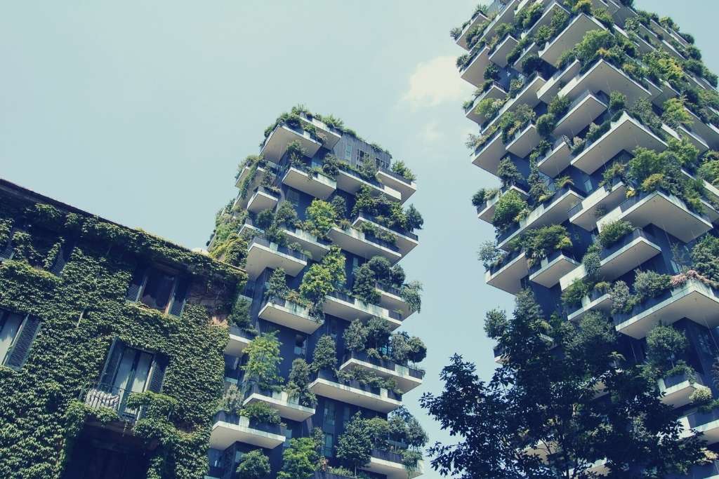 Gaining Green Stars: Benefits of Green Building Certifications