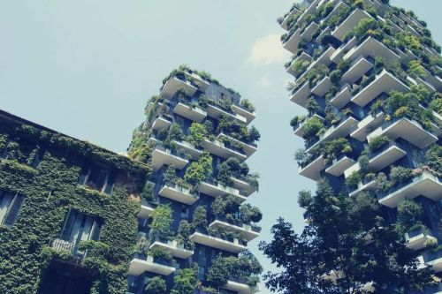 Gaining Green Stars: Benefits of Green Building Certifications