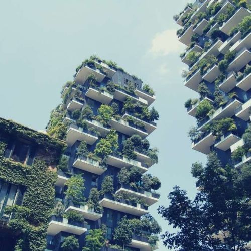 Gaining Green Stars: Benefits of Green Building Certifications