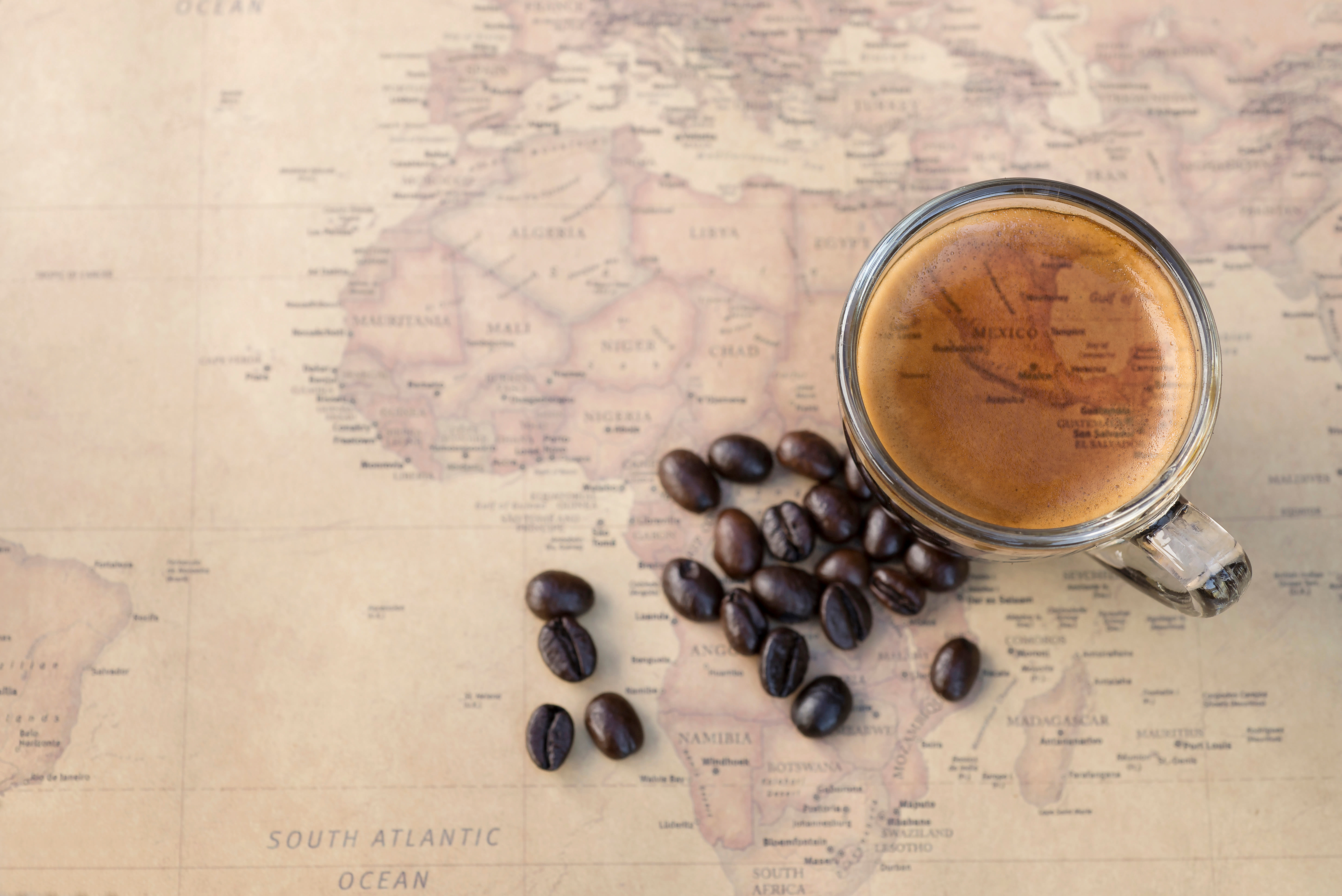 Atlas Coffee Club Tanzania Review