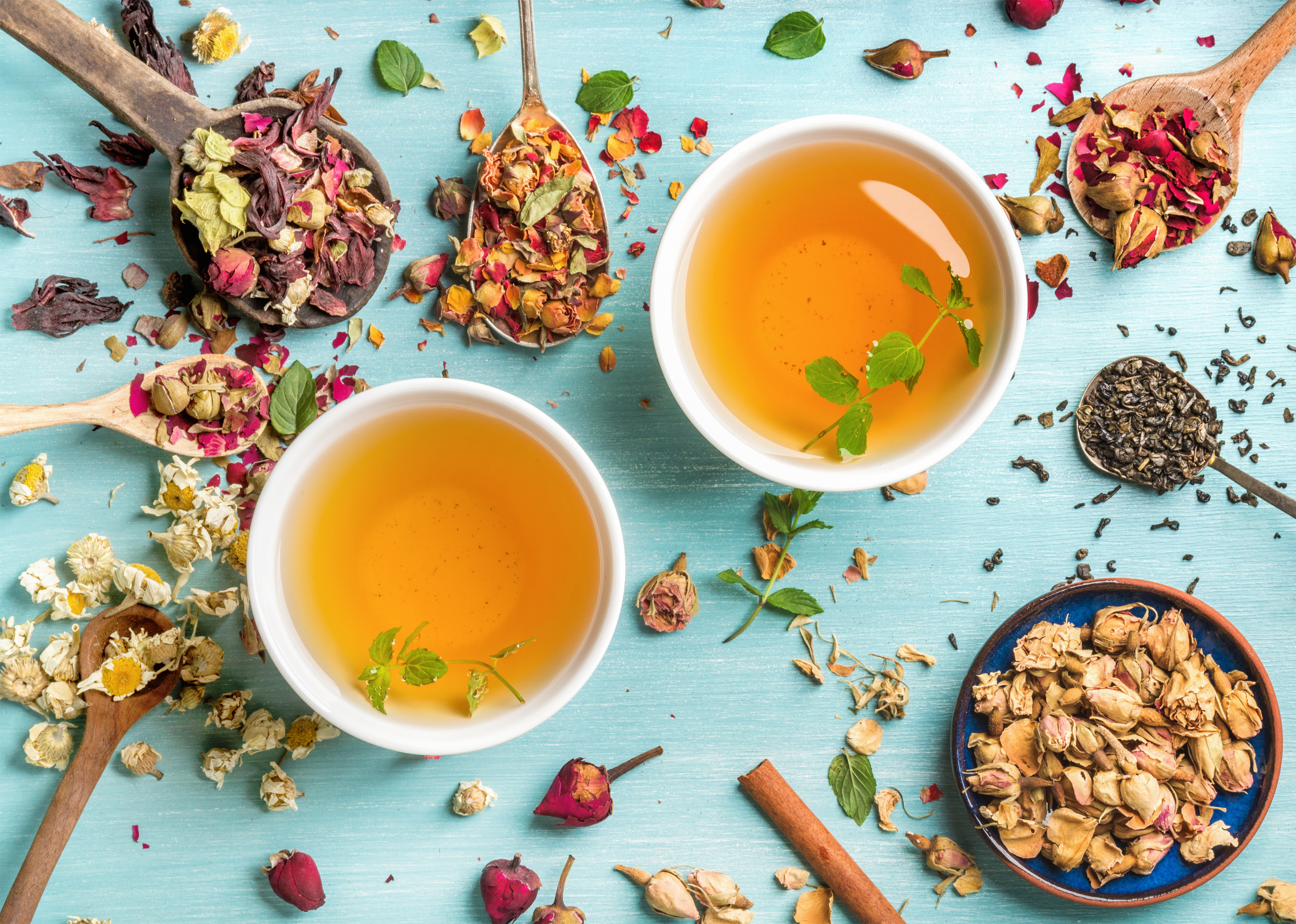 5 Best Tea Clubs and Subscriptions for 2024, Tested and Reviewed