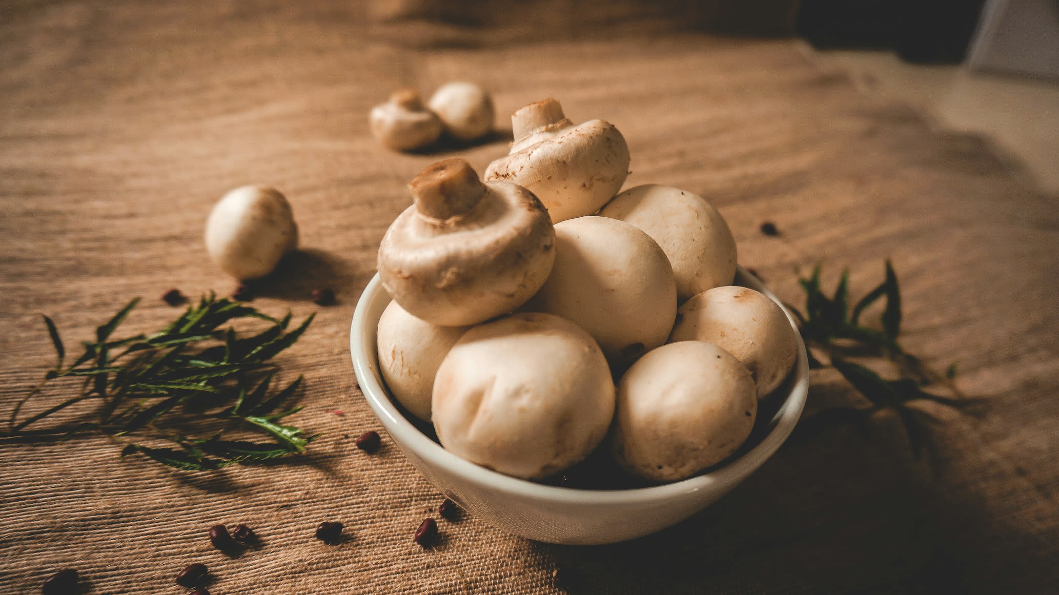 Mushroom Coffee for Hormone Balance: Does Maca Regulate Stress Hormones? 