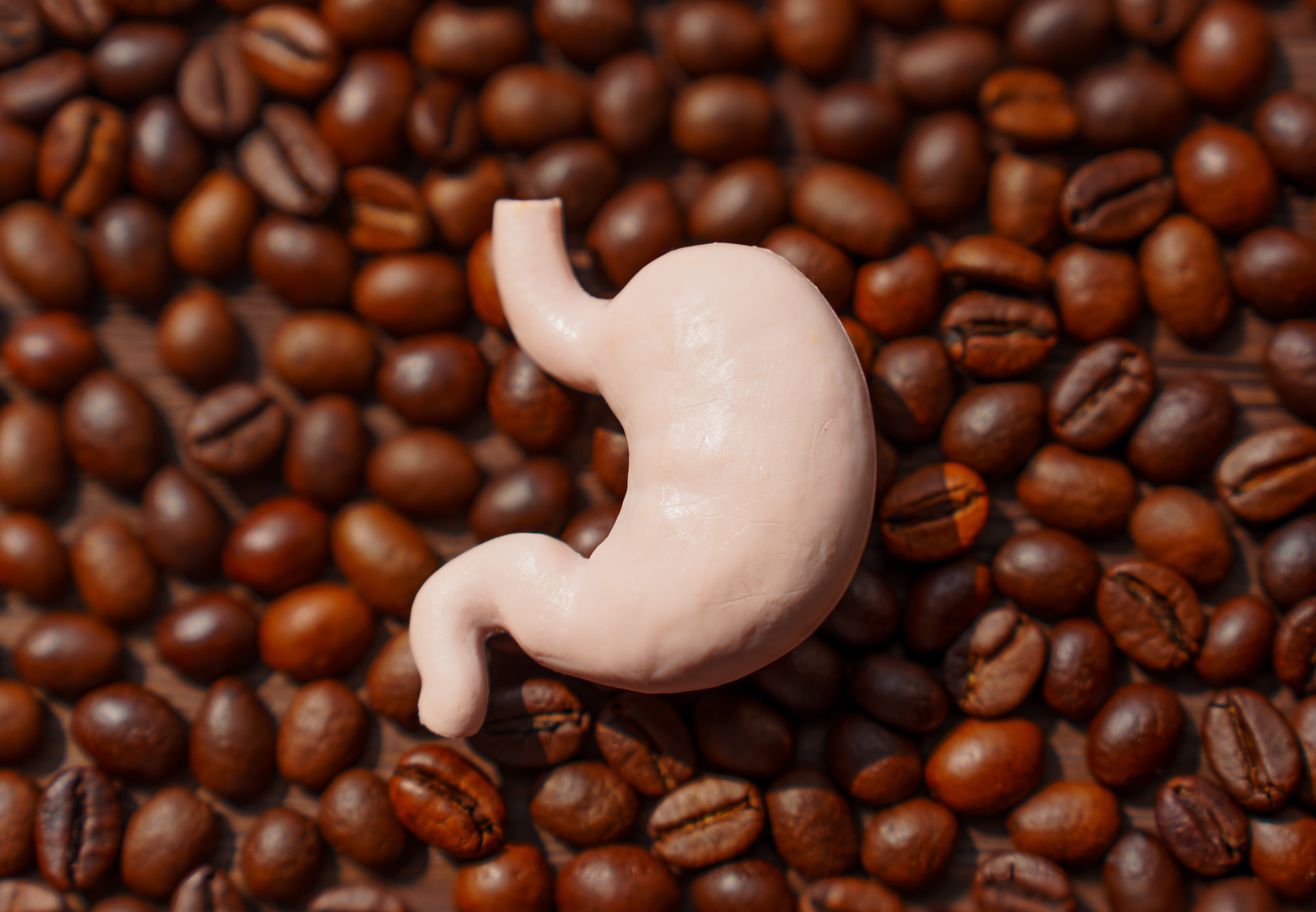 Mushroom Coffee and Gut Health: Is It Better for Digestion?