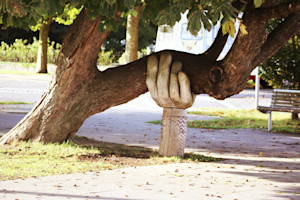 blog article title image
