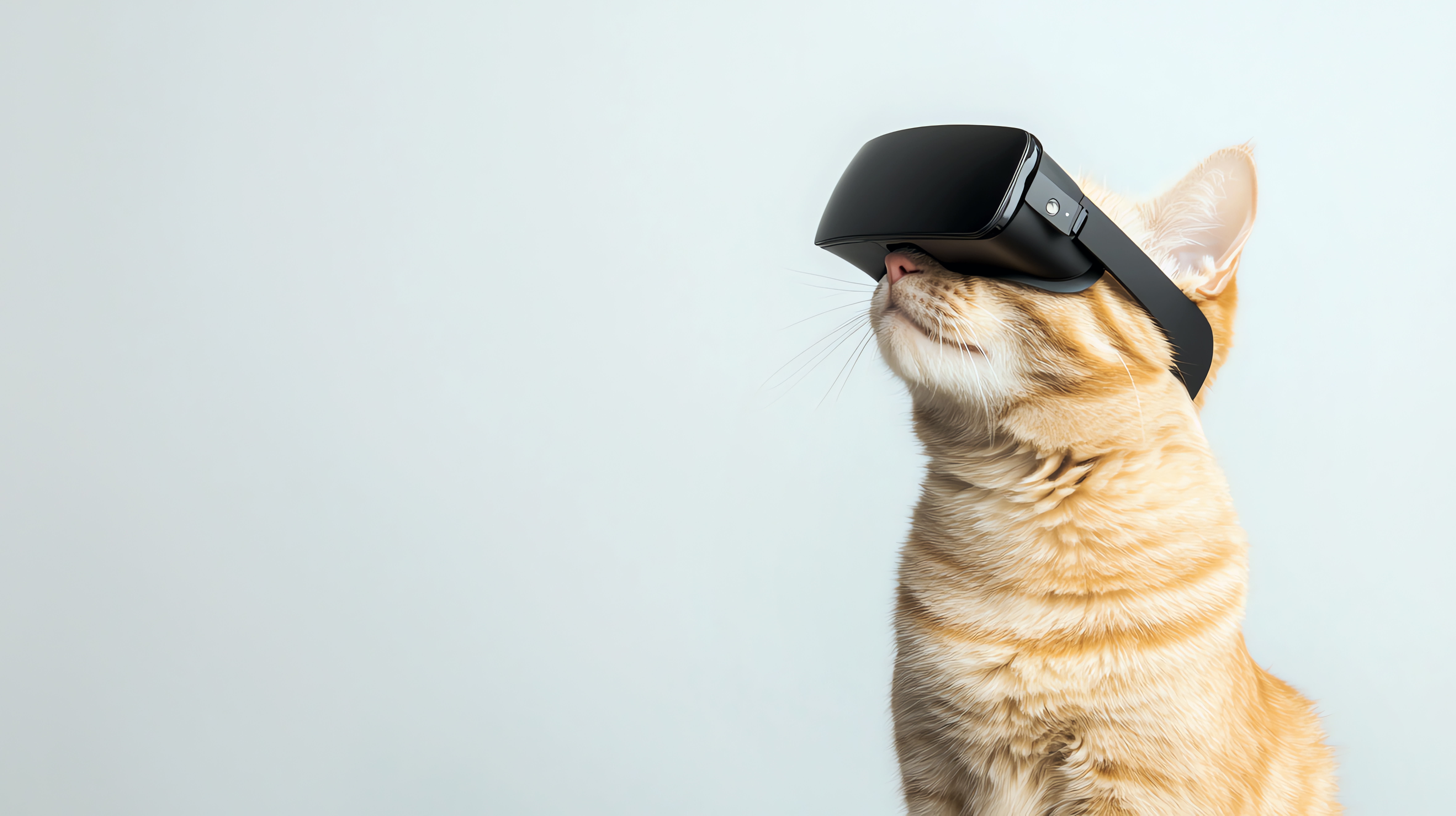 How to Create Interactive Content That Boosts Your SEO